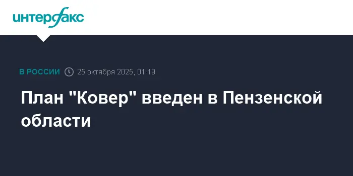 В Пензенской области успешно реализован план "Ковер" для безопасности жителей-0