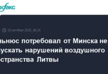 vilnyus prizyvaet minsk k sotrudnichestvu v obespechenii stabilnosti neba-ekaterinburgu-ru-0