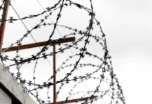 advokat iz primorya poluchil prigovor po delu rassledovanie kotorogo dlilos 15 let-ekaterinburgu-ru-0