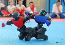 Александр Ганюшкин и Федерация кикбоксинга Приморья развивают роботизированные бои во Владивостоке aleksandr ganyushkin i federacziya kikboksinga primorya razvivayut robotizirovannye boi vo vladivostoke-ekaterinburgu-ru-0