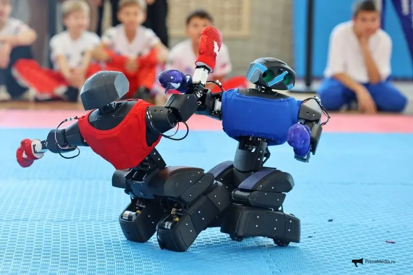 Показательный бой роботов-боксеров ИА PrimaMedia