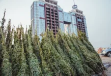 Андрей Брик и Законодательное собрание Приморья обсуждают торговлю во Владивостоке andrej brik i zakonodatelnoe sobranie primorya obsuzhdayut torgovlyu vo vladivostoke-ekaterinburgu-ru-0