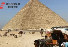 avariya turisticheskogo avtobusa i gruzovika proizoshla v egipte na puti k piramidam-ekaterinburgu-ru-0