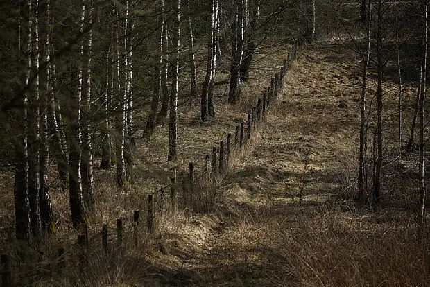 Вводная картинка