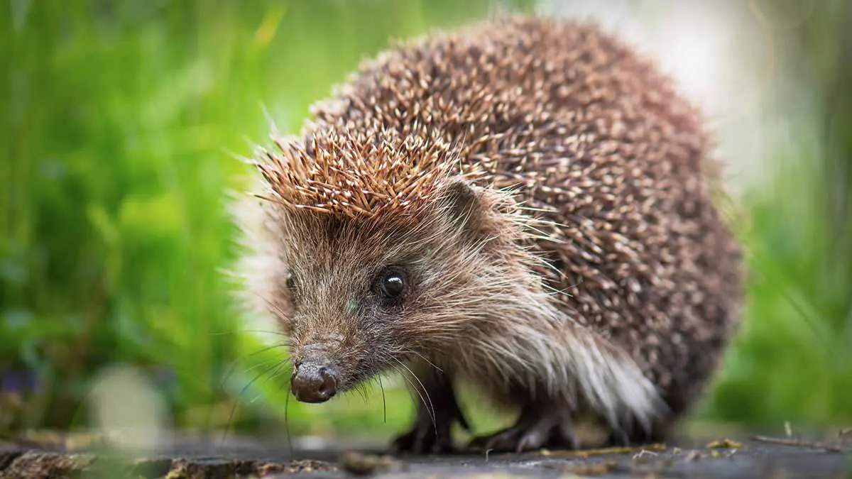 Праздники 28 ноября 2025 года