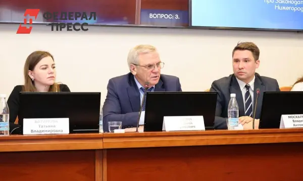 Евгений Люлин и Молодежный парламент представляют прорывные законы-0