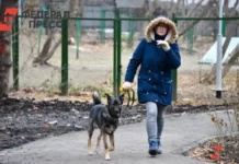 Гидрометцентр России прогнозирует теплый ноябрь для большинства регионов gidrometczentr rossii prognoziruet teplyj noyabr dlya bolshinstva regionov-ekaterinburgu-ru-0