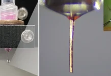 hobotok komara predlagaet novye perspektivy dlya 3pechati mikrostruktur-ekaterinburgu-ru-0