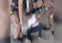 История Ари и инцидент с полицией в провинции Накхонситхаммарат istoriya ari i inczident s policziej v provinczii nakhonsithammarat-ekaterinburgu-ru-0