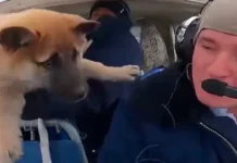 Иван Барсов, депутатский сын из ХМАО, устроил собаке космический восторг ivan barsov deputatskij syn iz hmao ustroil sobake kosmicheskij vostorg-ekaterinburgu-ru-0