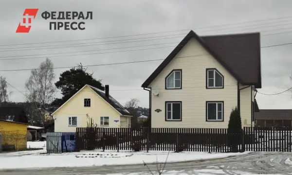 Ленинградская область занимает первое место по ценам на отдых в загородных домах на Авито Путешествия-0