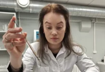 marijskij gosudarstvennyj universitet i rnf issleduyut zashhitu mitohondrij-ekaterinburgu-ru-0