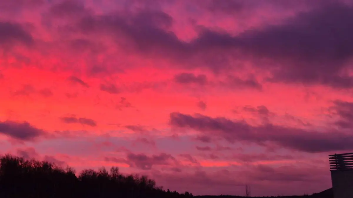 Жители Москвы наблюдали необычный розовый рассвет 14 ноября