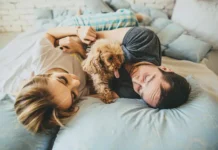 Московский суд вернул хозяйке вельш-корги после радостного решения moskovskij sud vernul hozyajke velshkorgi posle radostnogo resheniya-ekaterinburgu-ru-0