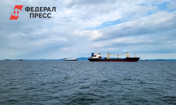 Мурманск в опасности? Украинские спецслужбы атакуют фейком о Губе Андреева!-0