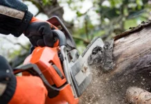 Наталья Шалуба делится советами садоводам о штрафах и ответственности по КоАП в СНТ natalya shaluba delitsya sovetami sadovodam o shtrafah i otvetstvennosti po koap v snt-ekaterinburgu-ru-0