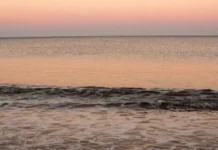 Новое видение углекислого газа и закисления от Сент-Эндрюсского университета novoe videnie uglekislogo gaza i zakisleniya ot sentendryusskogo universiteta-ekaterinburgu-ru-0