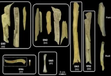 peshhera goje raskryvaet tajny neandertalczev i kannibalizma v evrope-ekaterinburgu-ru-0