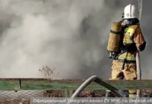 Пожар под Омском вблизи Ростовки успешно локализован, версия от Виталия Хоценко pozhar pod omskom vblizi rostovki uspeshno lokalizovan versiya ot vitaliya hoczenko-ekaterinburgu-ru-0