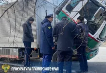 Прокуратура Владивостока возбудила уголовное дело и ликвидировала авторынок на Фадеева prokuratura vladivostoka vozbudila ugolovnoe delo i likvidirovala avtorynok na fadeeva-ekaterinburgu-ru-0