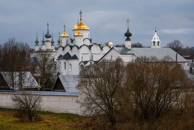 Вводная картинка