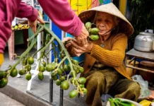 Роспотребнадзор и АКИТ запрещают продажу бетельного ореха онлайн для защиты здоровья rospotrebnadzor i akit zapreshhayut prodazhu betelnogo oreha onlajn dlya zashhity zdorovya-ekaterinburgu-ru-0