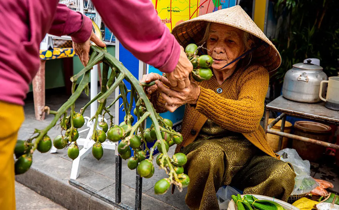 Продажа бетельного ореха на рынке Хойана, Вьетнам (hecke61 / Shuttetrstock)