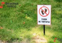 ryazan povyshaet ekologicheskie mery shtrafy za parkovku na gazonah sostavili 11 mln-ekaterinburgu-ru-0