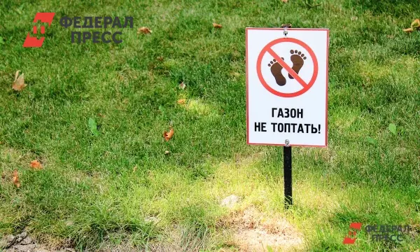 Рязань повышает экологические меры, штрафы за парковку на газонах составили 11 млн-0