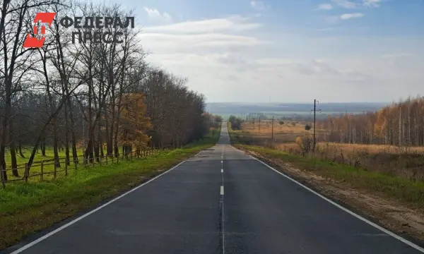 Рязанская область получила «золотой каток» на Транспортной неделе 2025-0