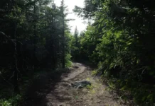 sergej usolczev iz zheleznogorska rasskazal o svoem vklade v programmy ssha-ekaterinburgu-ru-0