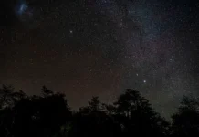 sergej yazev predstavil novye gipotezy o mezhzvezdnom obekte avi leb i 3-ekaterinburgu-ru-0