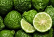 Университет Магна Греция выявил потенциал бергамота и полифенолов для MASLD universitet magna grecziya vyyavil potenczial bergamota i polifenolov dlya -ekaterinburgu-ru-0