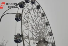 В парке «Динамо» Хабаровска появится новое колесо обозрения при поддержке инвесторов v parke dinamo habarovska poyavitsya novoe koleso obozreniya pri podderzhke investorov-ekaterinburgu-ru-0