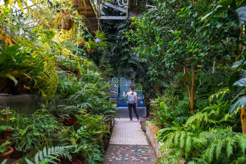 Ботанический сад Илья Аверьянов, ИА PrimaMedia