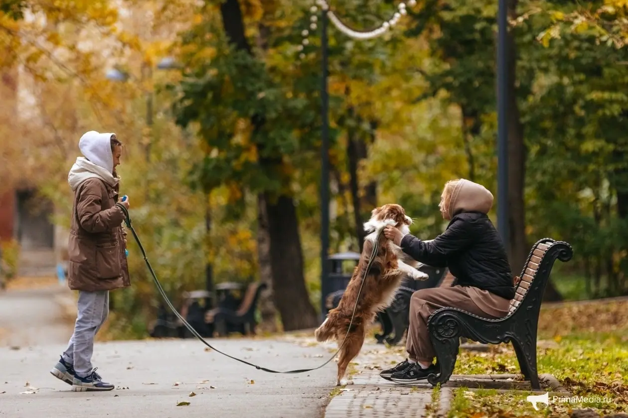 Владивосток в октябре предлагает Утильсбор, МедиаСаммит и "Литературу Тихоокеанской России"-0