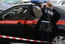 zamoskvoreczkij sud moskvy arestoval anastasiyu stratovich za podzhog avtomobilya-ekaterinburgu-ru-0