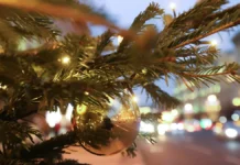 16 декабря отмечают День тишины, чили и веселый Фестиваль «Лас-Посадас» в Мексике 16 dekabrya otmechayut den tishiny chili i veselyj festival lasposadas v meksike-ekaterinburgu-ru-0