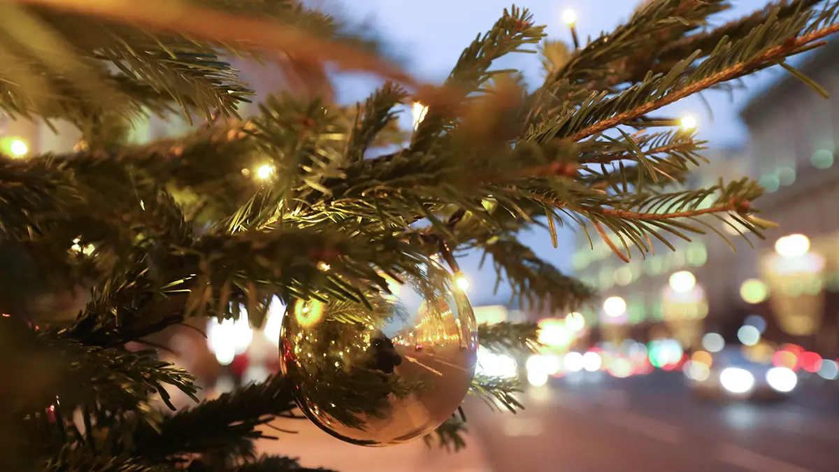 Праздники 16 декабря 2025 года