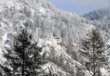 aleksandr dymov i valentin degtyarev prokommentirovali ischeznovenie sergeya usolczeva-ekaterinburgu-ru-0