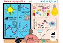 czirkadnye ritmy dnevnoj svet i uroven sahara v krovi pri diabete vtorogo tipa-ekaterinburgu-ru-0
