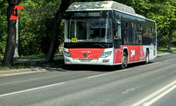 Департамент транспорта Перми собрал 35 миллионов рублей штрафов за безбилетников-0