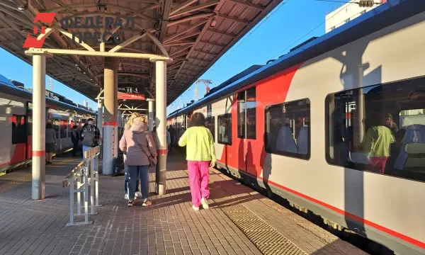 Дмитрий Григоренко сообщил о внедрении биометрии на поездах Москва-Нижний Новгород с 2026 года через Госуслуги-0