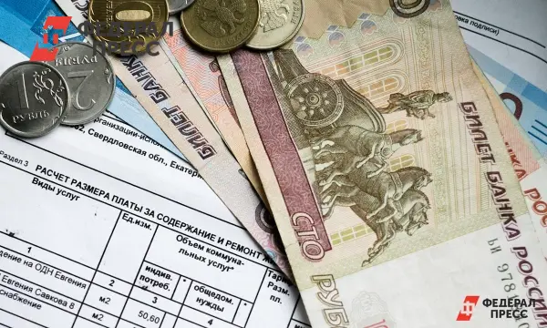 ФАС России поддержала выгодные тарифы на электроэнергию в Омске и Якутии-0