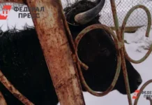 fermery es ishhut resheniya izza otkaza ot rossijskih udobrenij-ekaterinburgu-ru-0