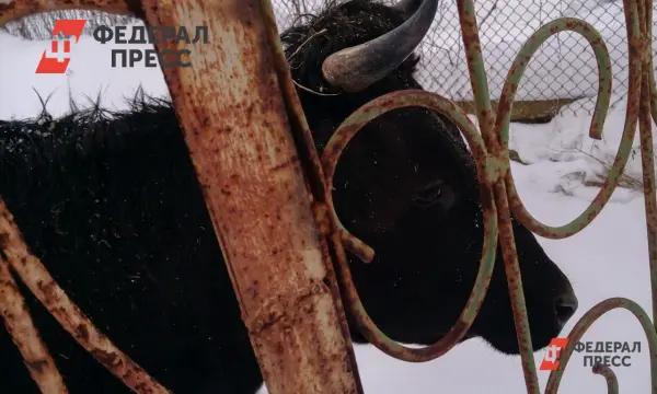 Фермеры ЕС ищут решения из-за отказа от российских удобрений-0