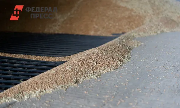 ФГИС «Зерно» и РЖД обеспечивают прозрачность рынка при запуске торгов зерном-0