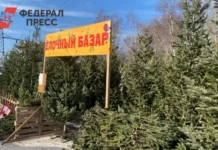 gde rabotayut novogodnie elochnye bazary v chelyabinske i na ploshhadi revolyuczii-ekaterinburgu-ru-0