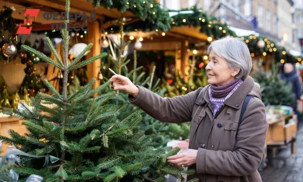 Гульнара Тайчинова делится советами пояркому и радостному встречанию Нового года-0