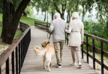 kak pensionery evropy i rossii naslazhdayutsya zhiznyu posle vyhoda na zasluzhennyj otdyh-ekaterinburgu-ru-0